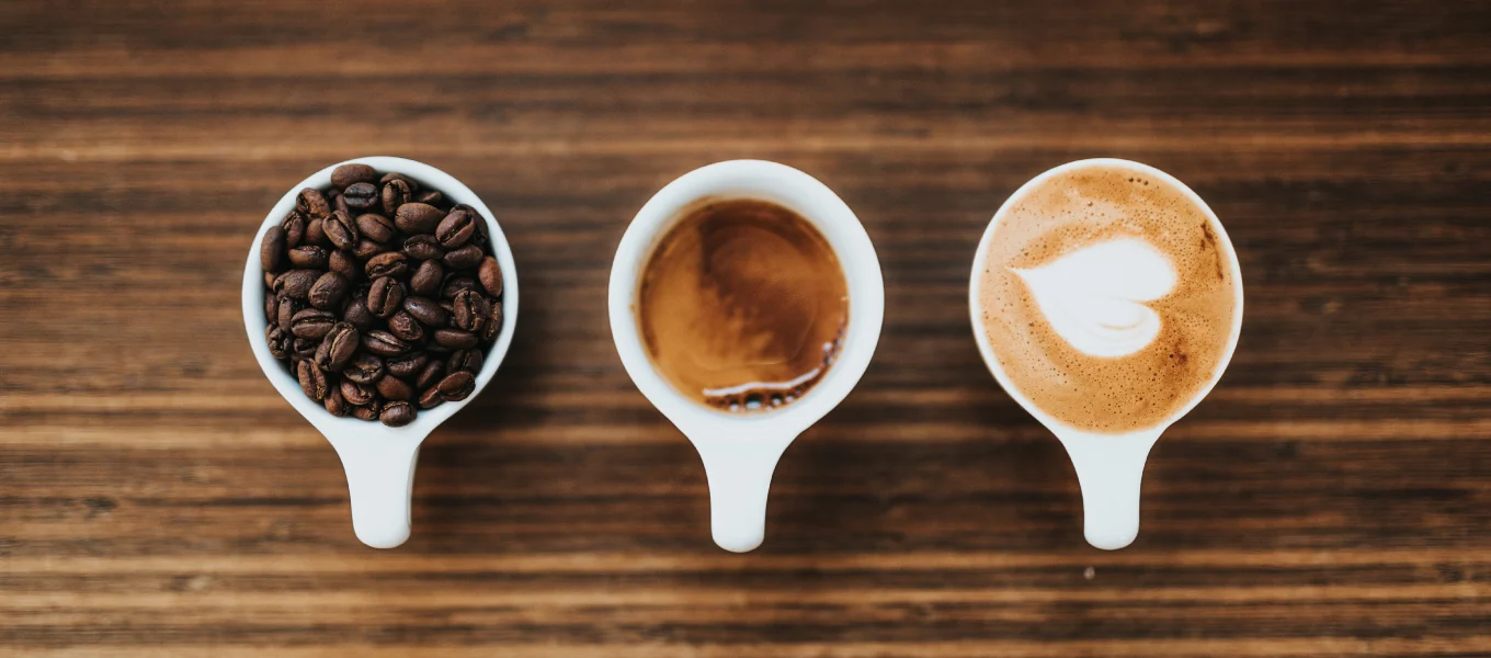 Buraca Roasters – especializados em café